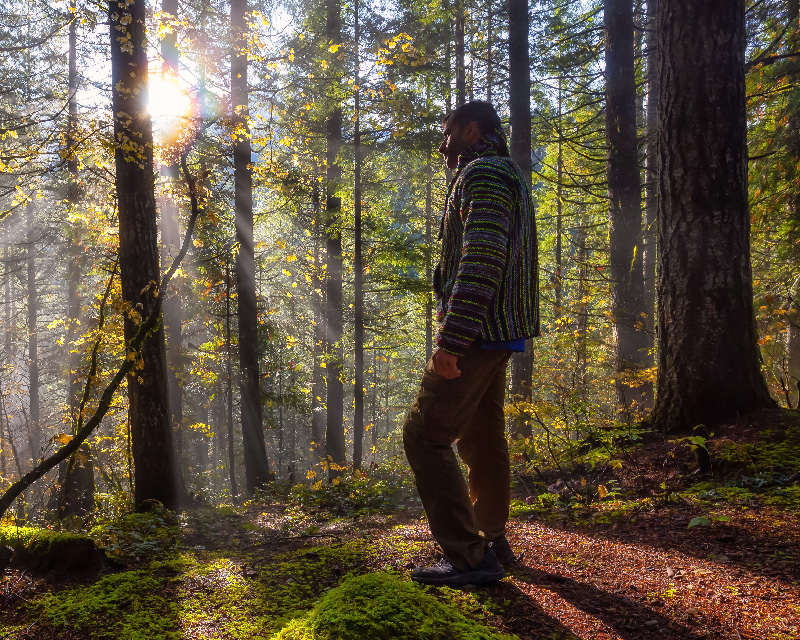 Man in the woods